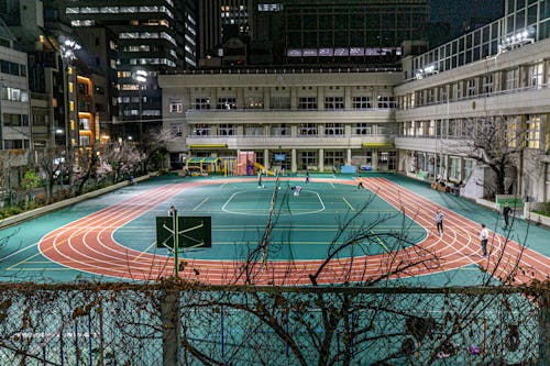 样本贝